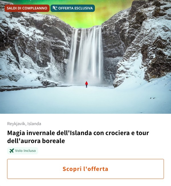 Magia invernale dell'Islanda con crociera e tour dell'aurora boreale