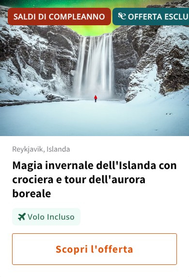 Magia invernale dell'Islanda con crociera e tour dell'aurora boreale