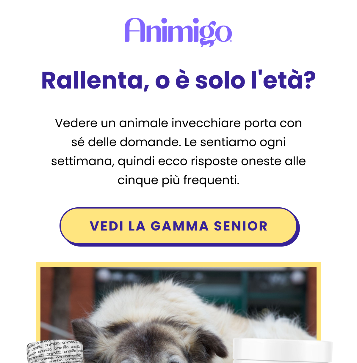 Le cinque domande che ci fanno più spesso.