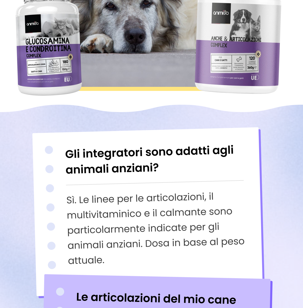 Vedere un animale invecchiare porta con sé delle domande. Le sentiamo ogni settimana, quindi ecco risposte oneste alle cinque più frequenti.
