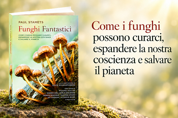 Novità