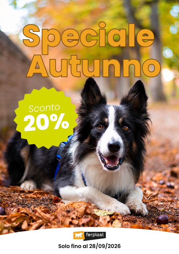 saldi