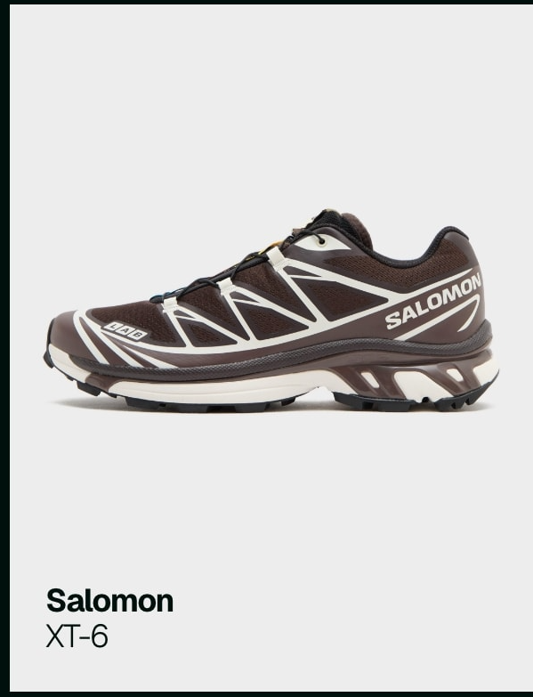 Salomon XT-6