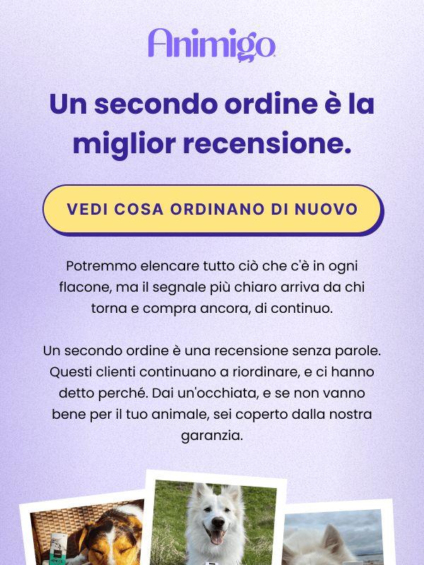 Perché continuano a tornare