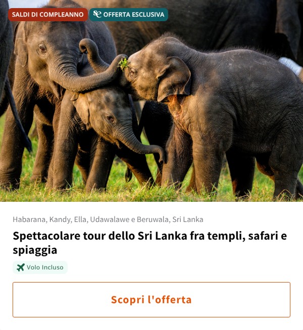 Spettacolare tour dello Sri Lanka fra templi, safari e spiaggia