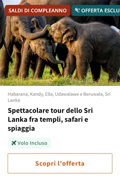 Spettacolare tour dello Sri Lanka fra templi, safari e spiaggia