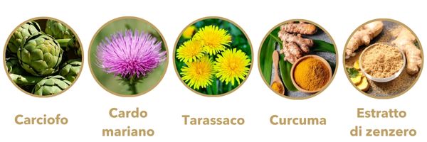 Ingredienti
