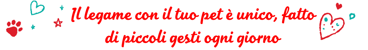 Il legame con il tuo pet è unico, fatto di piccoli gesti ogni giorno.