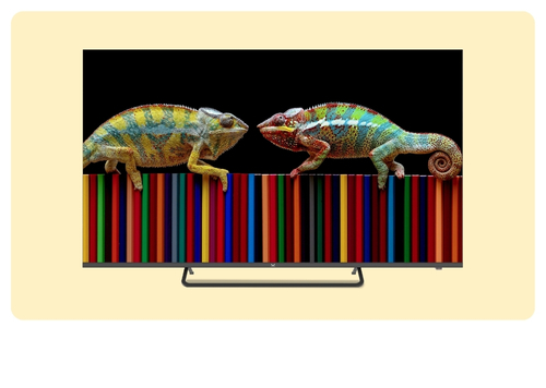 Two colourful chameleons facing each other on a TV screen showing vertical rainbow-coloured bars