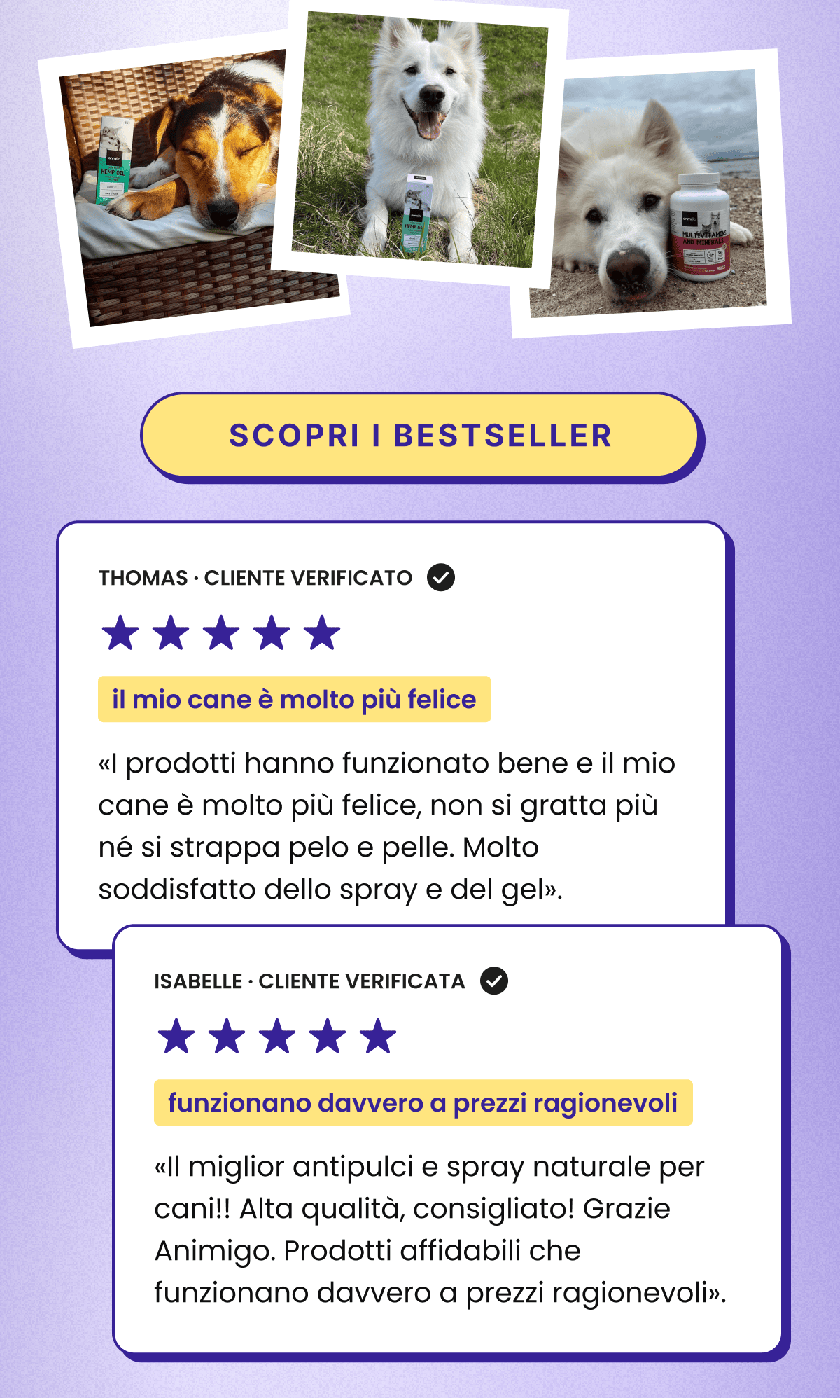 "21% DI SCONTO  Più energia, un supporto extra e... 21% di sconto! Come abbonato, adesso ricevi uno sconto esclusivo per il tuo amico a quattro zampe.  Valido solo per 24 ore, su tutto l’assortimento.  CODICE: SEPTEMBER"