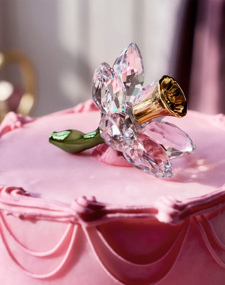 Florere Narciso Swarovski su una tavola rosa