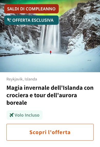 Magia invernale dell'Islanda con crociera e tour dell'aurora boreale