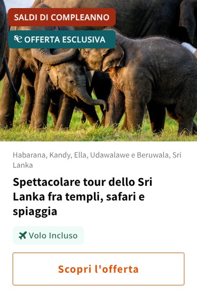 Spettacolare tour dello Sri Lanka fra templi, safari e spiaggia