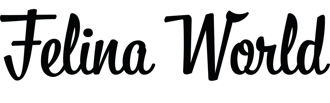 Visita il nostro sito web
