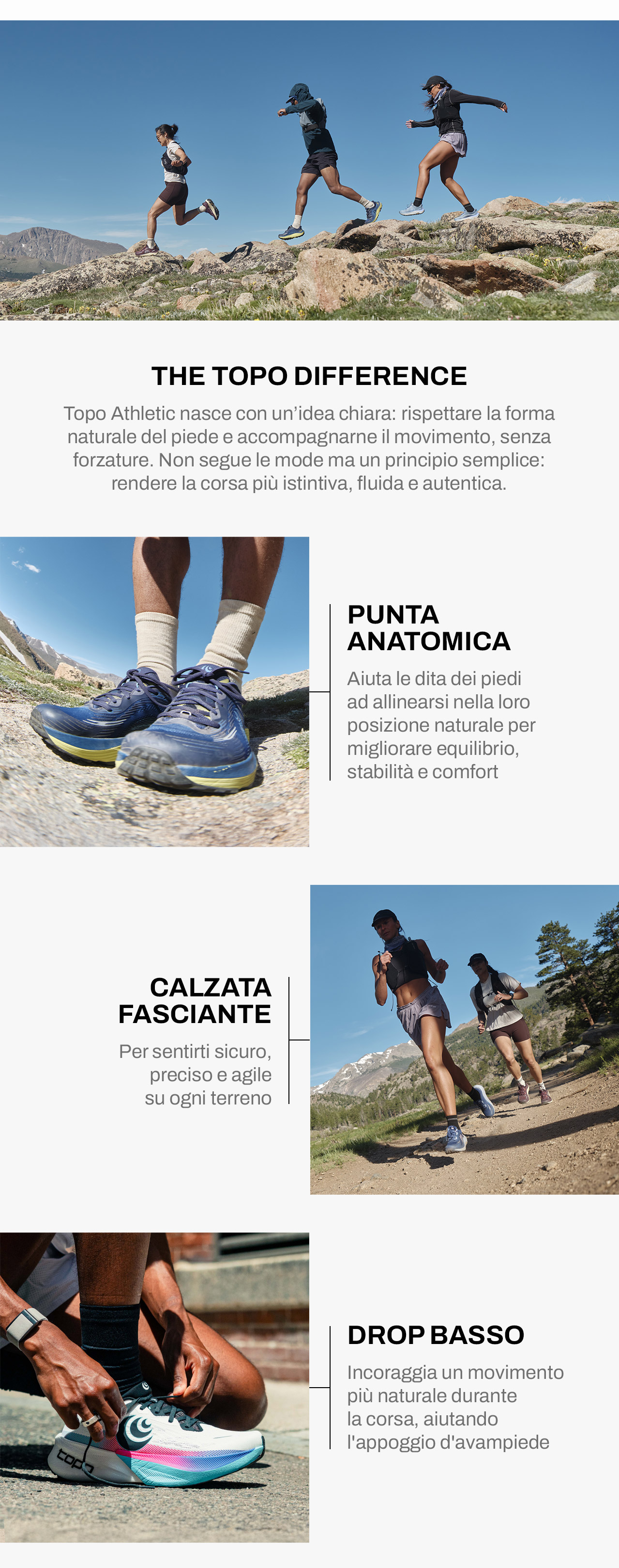 Caratteristiche