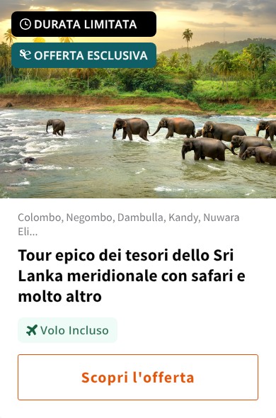 Tour epico dei tesori dello Sri Lanka meridionale con safari e molto altro