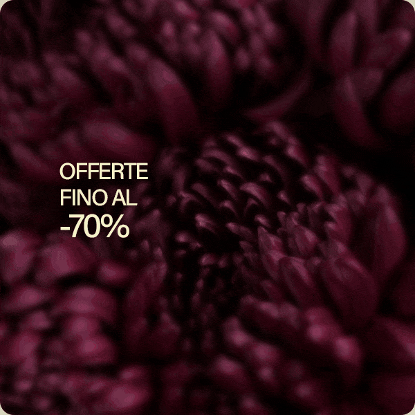 Offerte