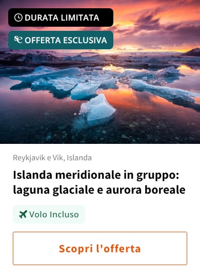 Islanda meridionale in gruppo: laguna glaciale e aurora boreale