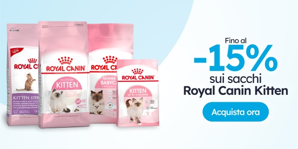 Fino al -15 % sui sacchi Royal Canin Kitten.