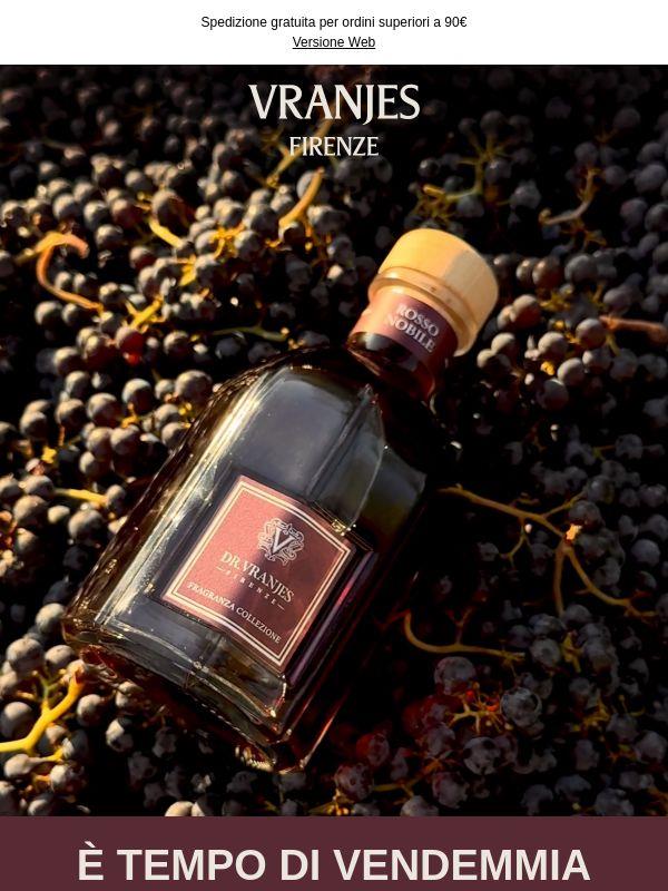 È tempo di vendemmia