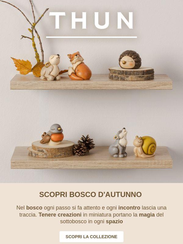 Il bosco d'autunno cela nuovi incontri 🦔