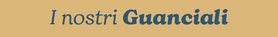I NOSTRI GUANCIALI