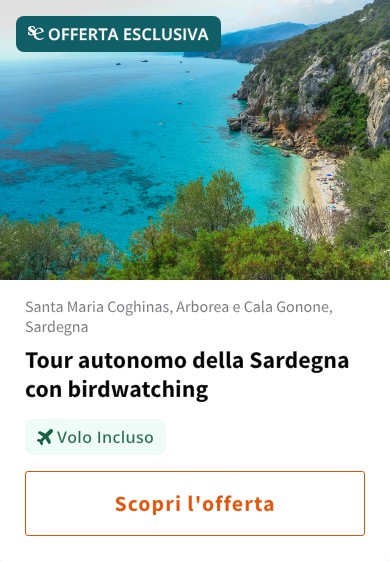 Tour autonomo della Sardegna con birdwatching