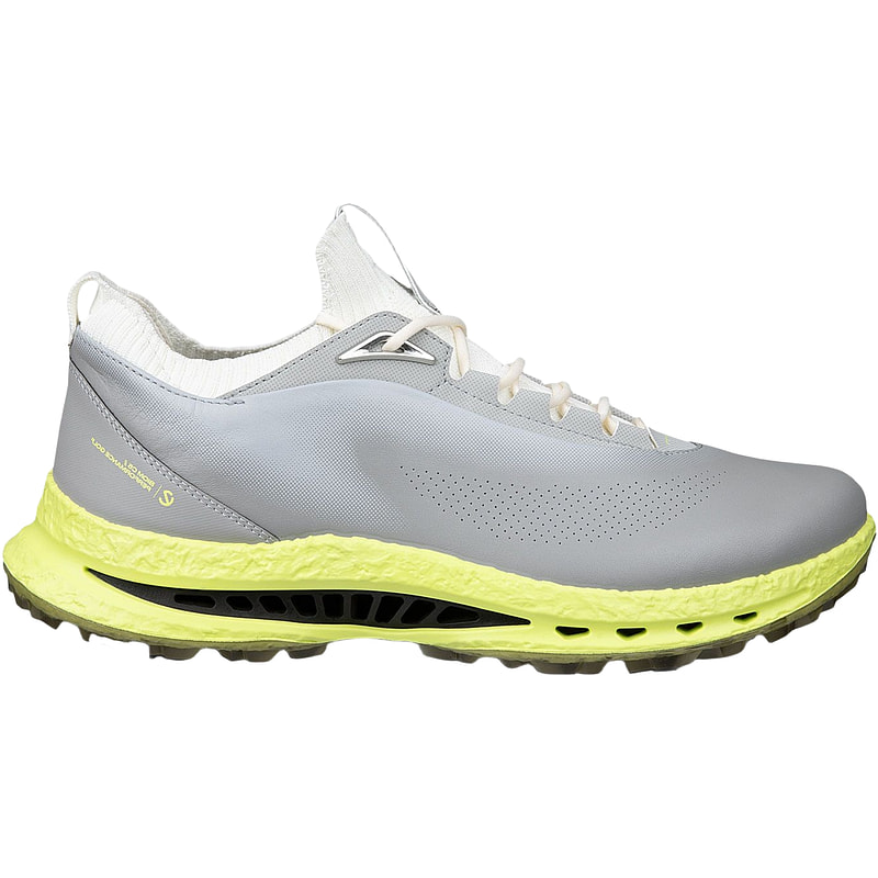 Scarpe da golf Golf Biom C5