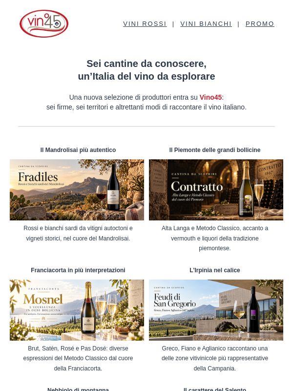 Sei territori. Sei cantine. Una nuova selezione. Esplora i migliori vini italiani!
