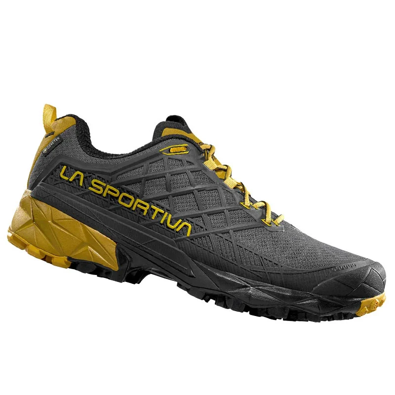 Image of Scarpe uomo Akyra II GTX