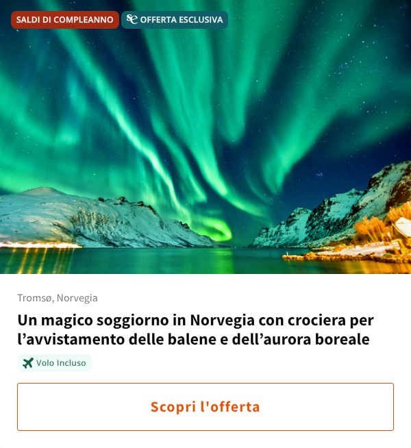 Un magico soggiorno in Norvegia con crociera per l%27avvistamento delle balene e dell%27aurora boreale
