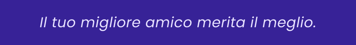 ANI-logo