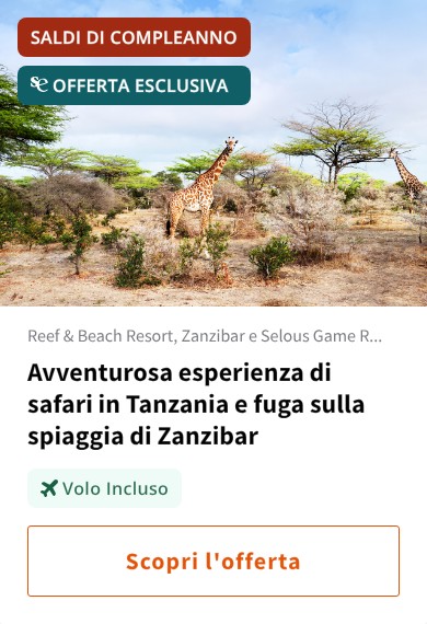 Avventurosa esperienza di safari in Tanzania e fuga sulla spiaggia di Zanzibar