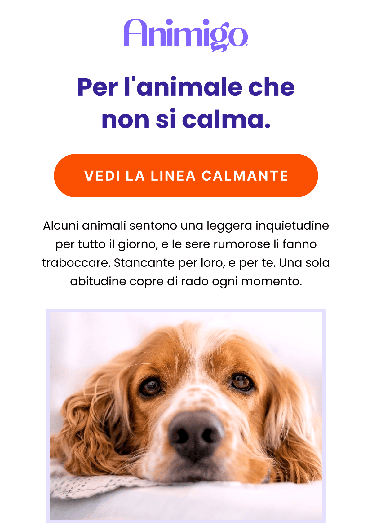 Per l'animale che non si calma