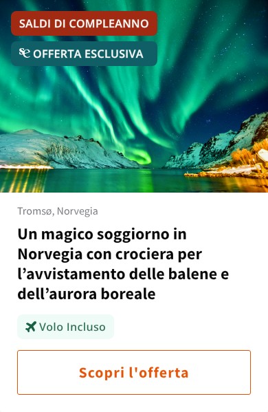 Un magico soggiorno in Norvegia con crociera per l%27avvistamento delle balene e dell%27aurora boreale