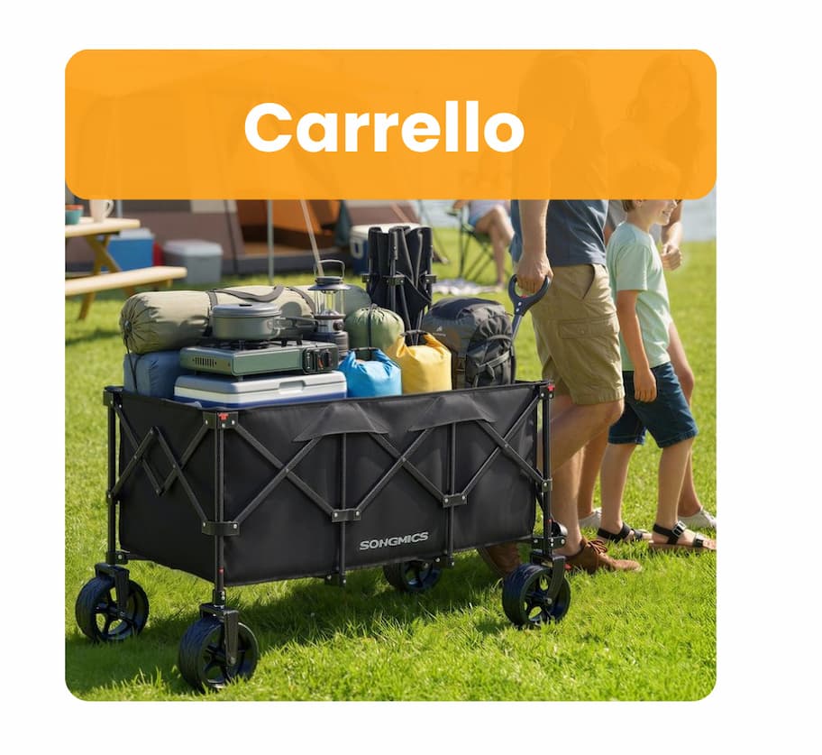 Carrello da Trasporto