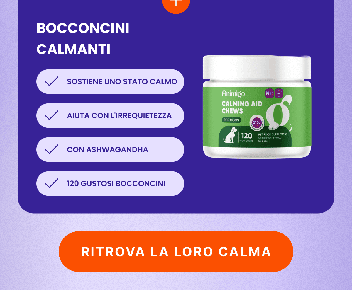 Ritrova la loro calma