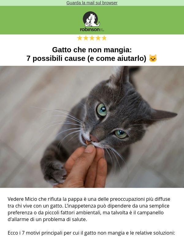 🐾 Il gatto rifiuta la ciotola? Ecco cosa c'è dietro