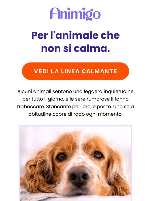 Il tipo di animale nervoso