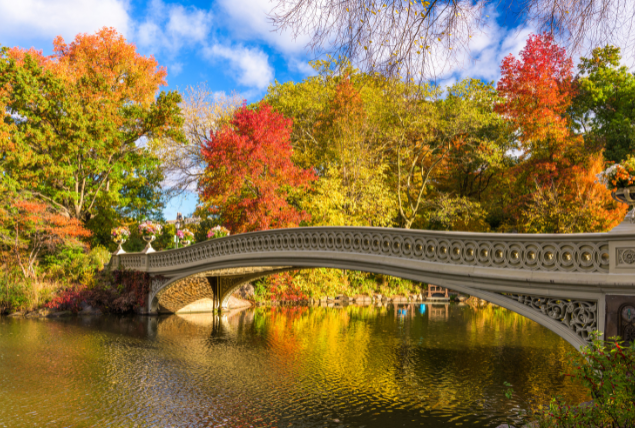 Autunno a NY