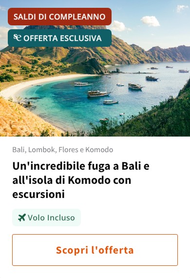 Un'incredibile fuga a Bali e all'isola di Komodo con escursioni
