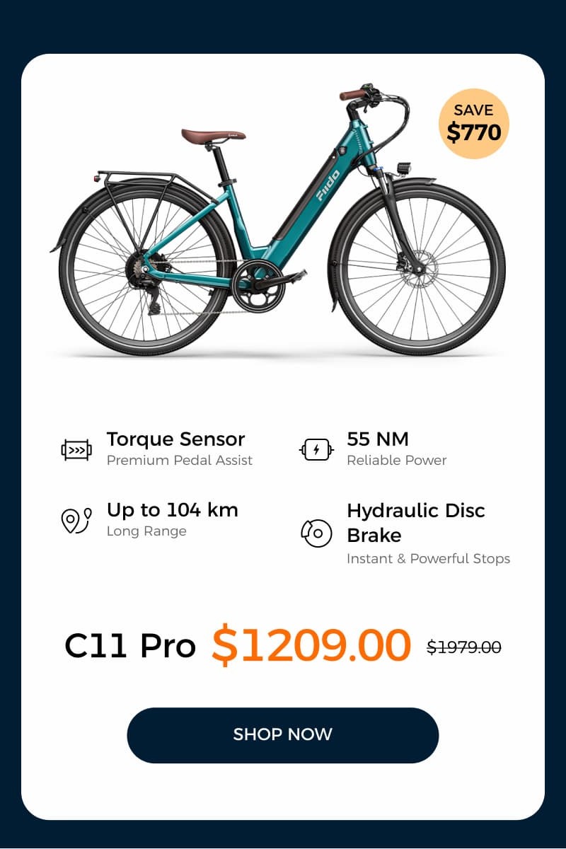C11 Pro