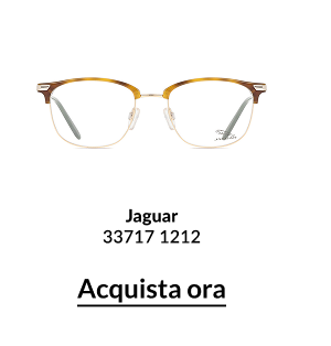 Jaguar 33717 1212