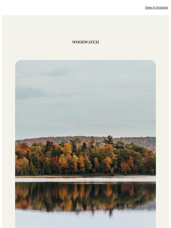 Make room for October 🍂