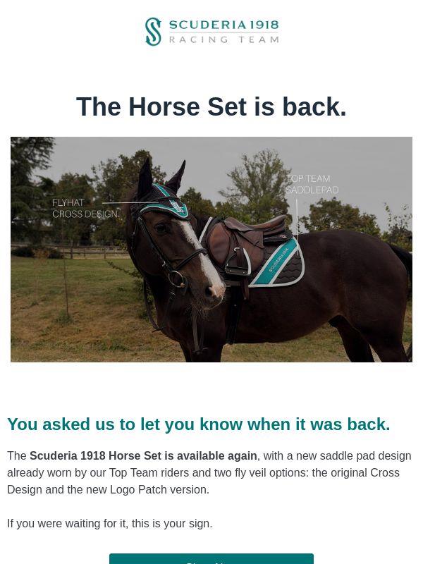 The Horse Set is finally back in stock! 🎉