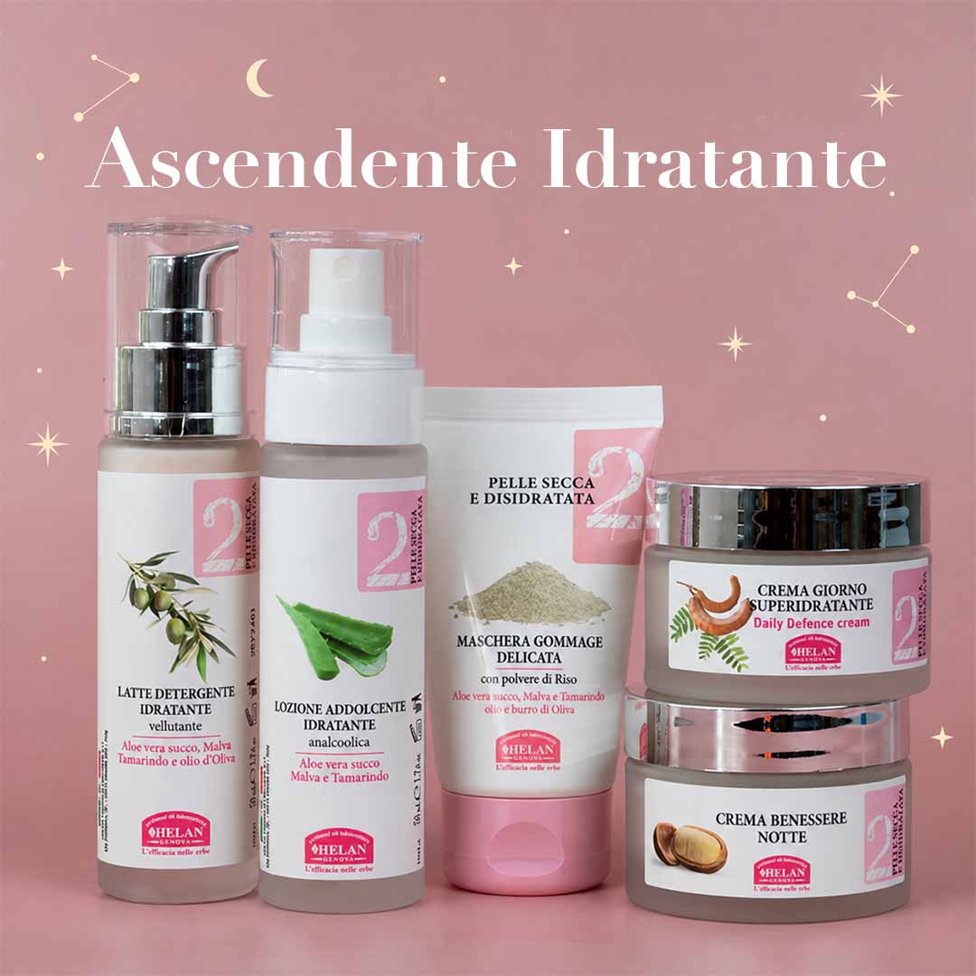 Linea 2