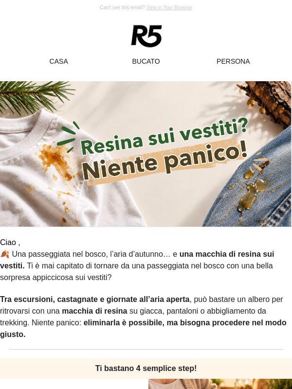 🍂 Autunno, boschi e macchie di resina?