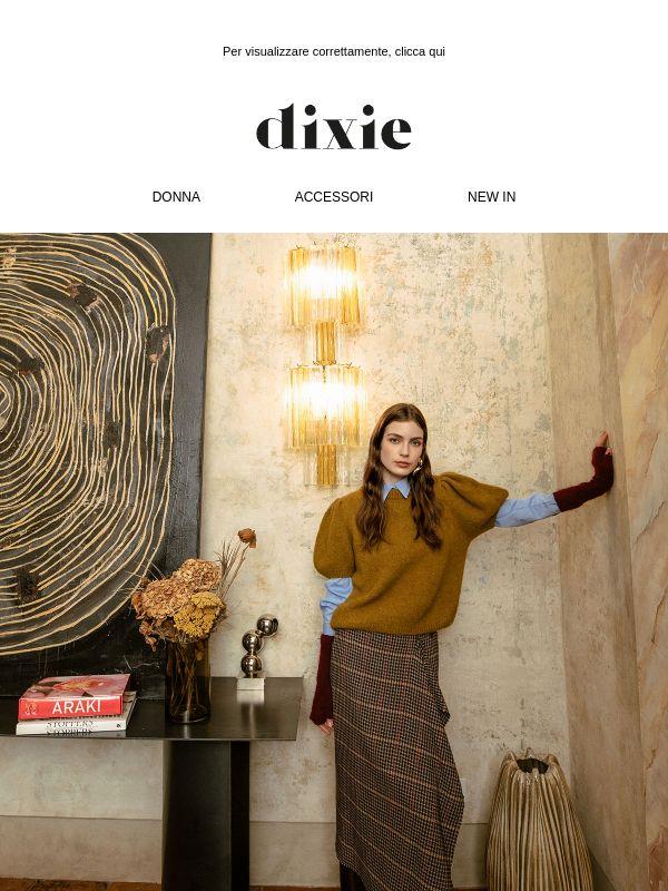 ME, MYSELF & DIXIE. Same, but different.