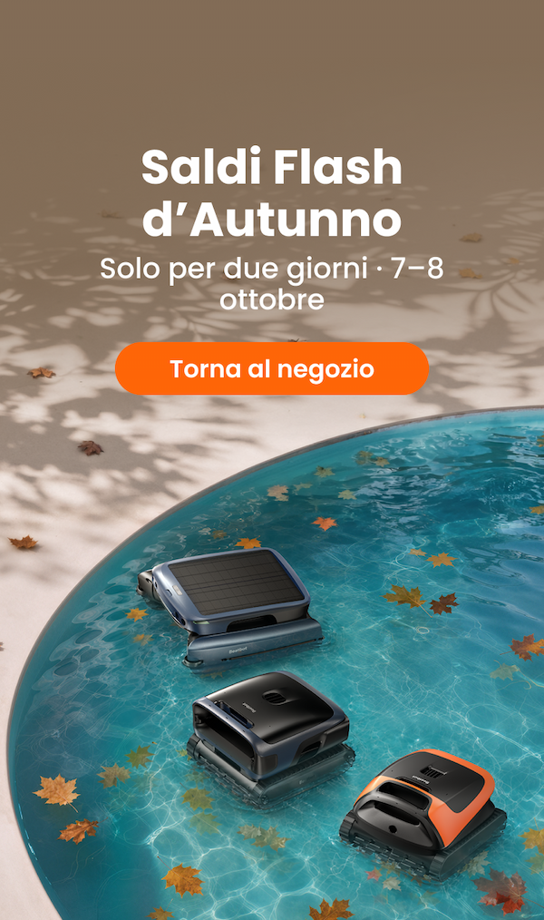 autumn Flash Sale