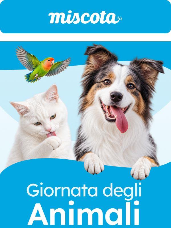 Giornata degli animali | -8 % solo oggi 💙